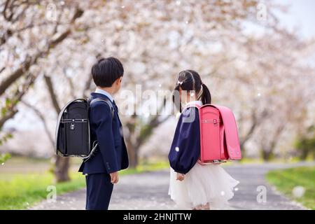 Schüler Der Japanischen Grundschule Und Unter Den Kirschblüten Stockfoto