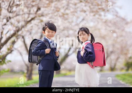 Schüler Der Japanischen Grundschule Und Unter Den Kirschblüten Stockfoto