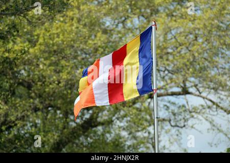 Die universelle buddhistische Flagge, die in Sri Lanka fliegt Stockfoto