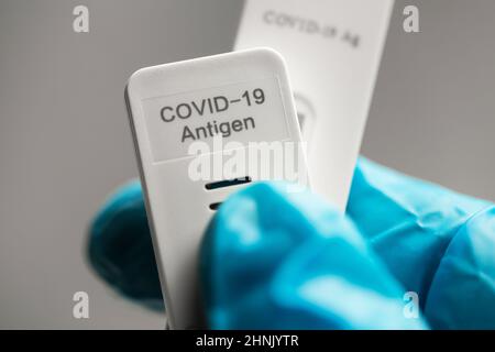 Einige Covid-19-Antigenschnelltests in einer Hand mit einem medizinischen Handschuh Stockfoto
