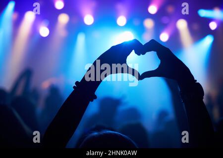 Genießen Sie jeden Song, den die Band spielt. Ausgeschnittene Aufnahme einer Menge bei einem Konzert. Stockfoto