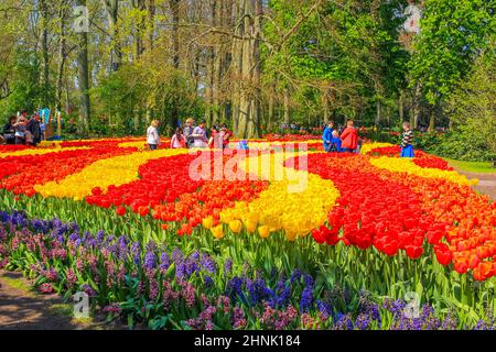 Viele bunte Tulpen Narzissen im Keukenhof Park Lisse Holland Niederlande. Stockfoto