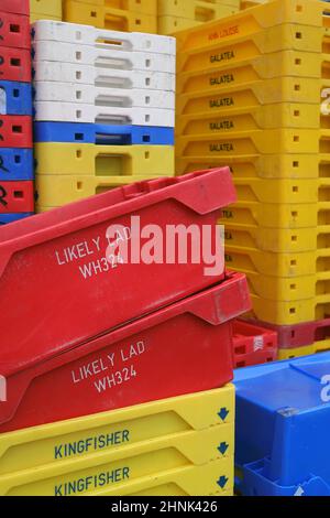 Bunte Fischschachteln Stockfoto