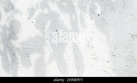 Flache Lage mit Draufsicht auf Schatten von Blättern, Blättern und Ästen auf grauem oder weiß grauem alten Betongrund. Leerzeichen für Text für Adver kopieren Stockfoto