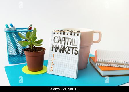 Text mit Inspiration Capital Markets. Internet-Konzept ermöglicht es Unternehmen, Geld zu sammeln, indem sie Marktsicherheit Tidy Workspace Setup Schreibtischtools und Geräte Notizen Stockfoto