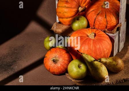 Herbststill-Leben mit Kürbissen, Äpfeln und Birnen in einer Holzkiste auf braunem Hintergrund mit Sonnenlicht. Herbsternte, Happy Thanksgiving Stockfoto