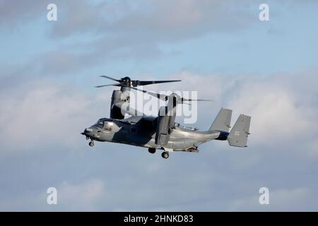 08-0049 Bell-Boeing CV-22B Osprey im Flug bei RAF Mildenhall, Suffolk. Stockfoto