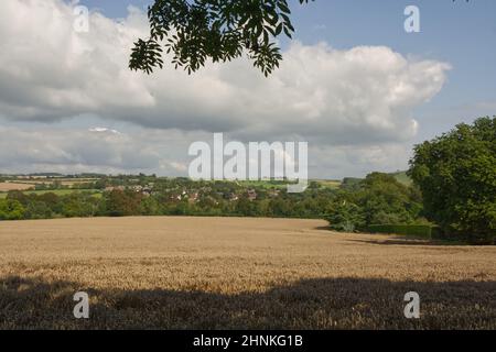 Land in Findon an den South Downs in der Nähe von Worthing, West Sussex, England. Mit reifen Gerstenfeld und Dorf. Stockfoto