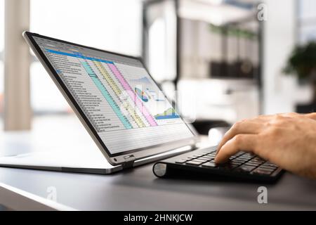 Tabellenkalkulation Business Data Analyst Verwenden Des Bildschirms Computer Stockfoto
