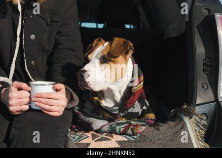 Brunette Frau in Decke im Kofferraum Auto gewickelt. Reisen Sie im Winter.  Auto dekoriert mit festlichen Weihnachtsbeleuchtung. Picknick im Freien.  Einheit mit der Natur Stockfotografie - Alamy