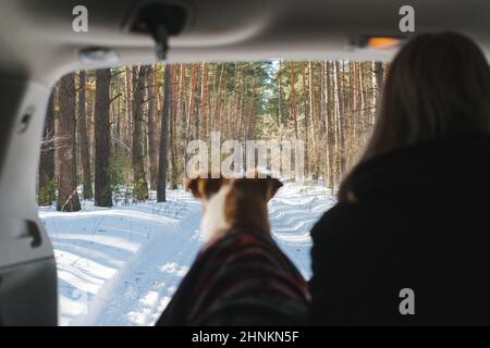 Winter Auto Camping mit Haustieren Szene: Frau sitzt neben einem Hund im SUV-Kofferraum, Fokus auf den Hintergrund. Genießen Sie den frühen Frühling und die Sonne im Wald, explo Stockfoto