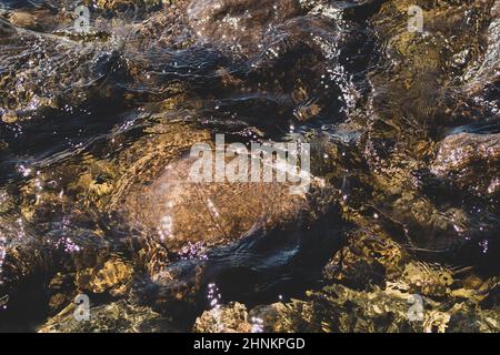 Glänzendes, transparentes Wasser. Klares Wasser mit Kieselsteinen und Stein auf dem Boden. Leuchtende Reflexe von Sonnenstrahlen und Wellen auf dem Wasser Stockfoto