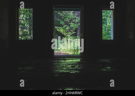 Blick von innen nach außen durch die Tür und Fenster in einem verlassenen Gebäude Stockfoto