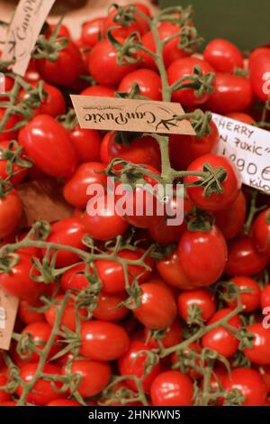 Kirschtomaten auf dem La Boqueria Markt in Barcelona, Spanien. Stockfoto