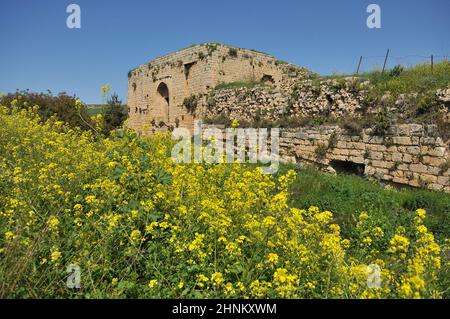 Die Ruinen der Kreuzritterfestung Schloss Neuf - Metsurat Hunin befinden sich am Eingang zum israelischen Dorf Margaliot im Obergalilea im Norden Israels Stockfoto