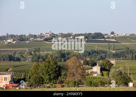 Rote Trauben auf Reihen von Reben in einem vienyard Reif vor der Weinlese in Saint Emilion Region. Frankreich Stockfoto