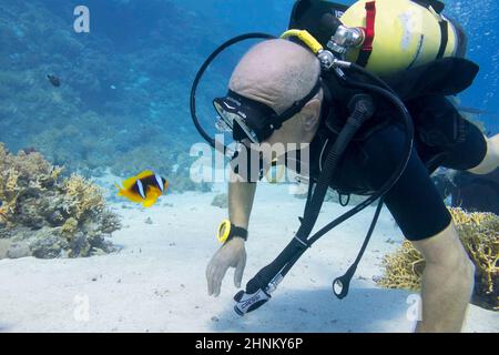 Ein Tauchgang über einem farbenfrohen Korallenriff und einem Anemonefisch, einer Unterwasserlandschaft Stockfoto