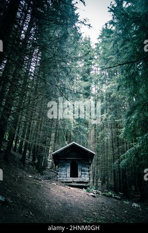 Kleine verlassene Holzhütte in einem tiefen dunklen Tannenwald Stockfoto