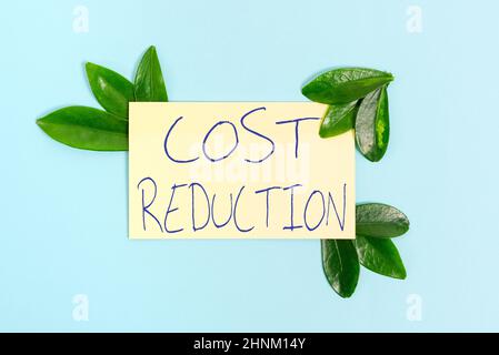 Schreiben Anzeige Text Kostenreduzierung, Wort geschrieben auf Prozess der Suche und Beseitigung ungerechtfertigter Ausgaben Natur Thema Präsentation Ideen und Desig Stockfoto
