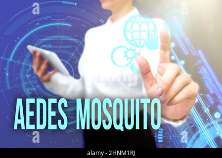 Schreiben Text anzeigen Aedes Mosquito, Geschäftskonzept die gelbe Fiebermücke, die Dengue-Fieber verbreiten kann Lady in Uniform Standing Hold Phone VI Stockfoto