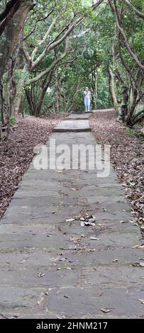 Taipingling Sea View Trail, New Taipei City 18. Okt. 2021, Taiwan Stockfoto