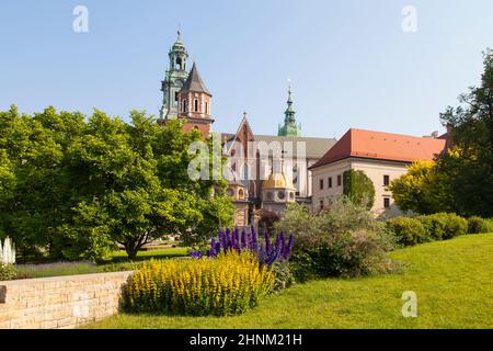 Wawel-Kathedrale, Krönungsort der polnischen Könige auf dem Wawel-Hügel, Krakau, Polen Stockfoto