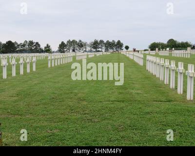 Friedhof voller militärischer Kreuze, die in der Kriegsordnung gefallen sind Stockfoto