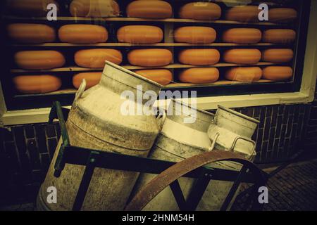 Handwerklicher edam-Käse Stockfoto