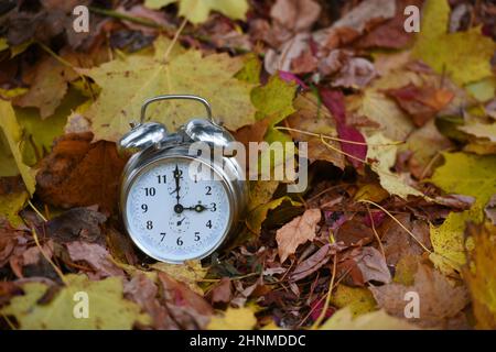 Zeitumstellung von Sommerzeit auf Winterzeit im Herbst, Wecker im Laub - Zeitumstellung von Sommer- auf Winterzeit im Herbst, Wecker in den Blättern Stockfoto