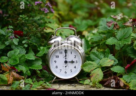 Zeitumstellung von Sommerzeit auf Winterzeit im Herbst, Wecker im Laub - Zeitumstellung von Sommer- auf Winterzeit im Herbst, Wecker in den Blättern Stockfoto