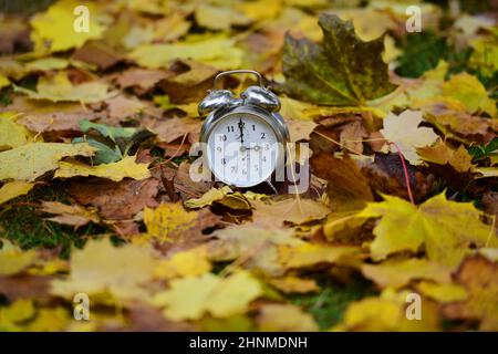 Zeitumstellung von Sommerzeit auf Winterzeit im Herbst, Wecker im Laub - Zeitumstellung von Sommer- auf Winterzeit im Herbst, Wecker in den Blättern Stockfoto