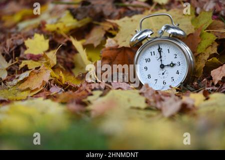 Zeitumstellung von Sommerzeit auf Winterzeit im Herbst, Wecker im Laub - Zeitumstellung von Sommer- auf Winterzeit im Herbst, Wecker in den Blättern Stockfoto