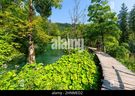 Nationalpark Plitvicer Seen, ein Wunder der Natur, Touristen zu Fuß auf der Holzbrücke, Plitvicer Seen, Kroatien Stockfoto