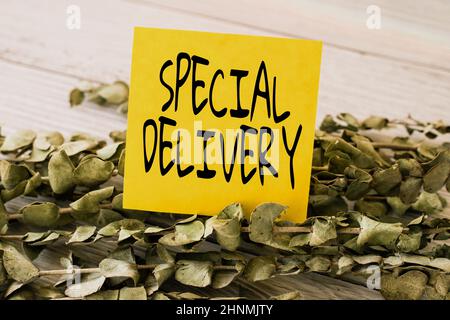 Schreiben Anzeige Text Special Delivery, konzeptuelle Foto Lieferung eines Briefes oder Pakets schneller und teurer Blank Stück Haftnotiz Ort Stockfoto