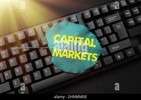 Schreiben Anzeigetext Capital Markets, Word Geschrieben auf Erlauben Sie Unternehmen, durch die Bereitstellung von Marktsicherheit Geld zu sammeln Abstract Typing New Business Slo Stockfoto