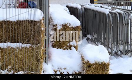 Im Winter wird auf der Messe im Schnee im Freien ein tragbarer Metallzaun an einem Ort aufbewahrt. Graue Gitter zum Überladen des Bereichs und zum Organisieren der Warteschlange für das Ereignis. Stockfoto