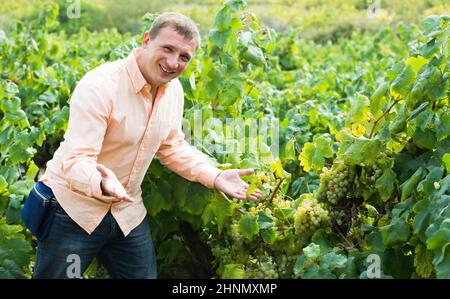 Porträt eines frohen Mannes in der Nähe von Trauben im Weinberg Stockfoto