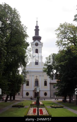 Kathedrale der Heiligen Teresa von Avila in Bjelovar, Kroatien Stockfoto