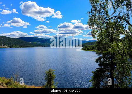 Wunderschöne Berge und Seestücke in Norwegen. Fjorde Fluss Wald Natur. Stockfoto