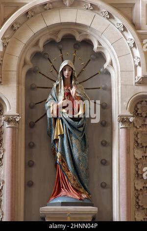 Unbeflecktes Herz Mariens, Altar in der Kirche des heiligen Maurus Abtes in Bosiljevo, Kroatien Stockfoto