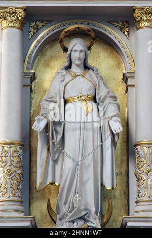 Selige Jungfrau Maria, Altar in der Kathedrale der Heiligen Teresa von Avila in Bjelovar, Kroatien Stockfoto