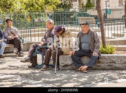 chinesische Männer ruhen sich mittags in einem Park in Chinatown, San Francisco, aus. Chinatown in San Francisco ist das größte Chinatown außerhalb Asiens Stockfoto