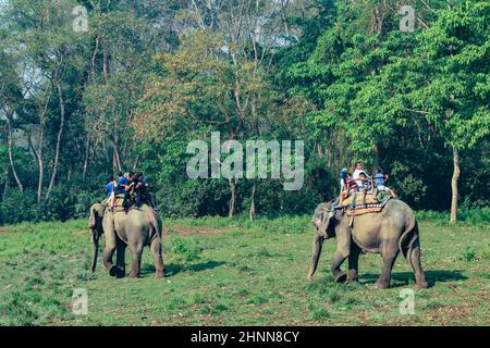 Menschen auf einer Elefantensafari im Chitwan Nationalpark in Nepal Stockfoto