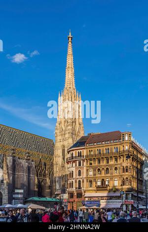 Blick auf den Stephansdom in wien Stockfoto