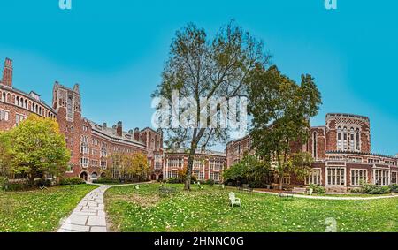 Campus in der Yale University Stockfoto