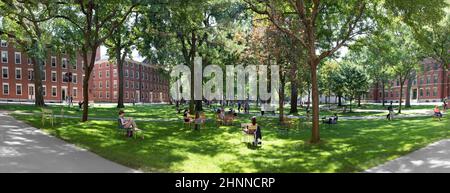 Studenten und Touristen ruhen sich in Rasenstühlen im Harvard Yard aus, dem offenen alten Herzen des Campus der Harvard University Stockfoto