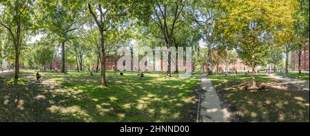 Studenten und Touristen ruhen sich in Rasenstühlen im Harvard Yard aus, dem offenen alten Herzen des Campus der Harvard University Stockfoto