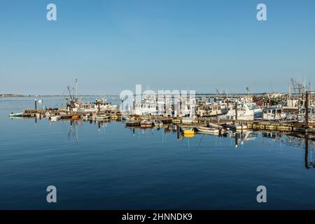 Hafen mit Fischerbooten und privaten Yachten in Provincetown, Cape Cod, USA in der Nachmittagssonne Stockfoto