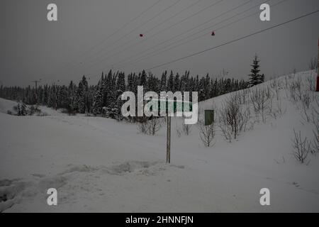 Takhini River, Yukon, Kanada Stockfoto