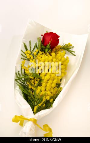 Blumenarrangement aus einer roten Rose und einem Bund Mimosen (Akazie dealbata) anlässlich des 8. März, der Feier des Frauentags. Stockfoto